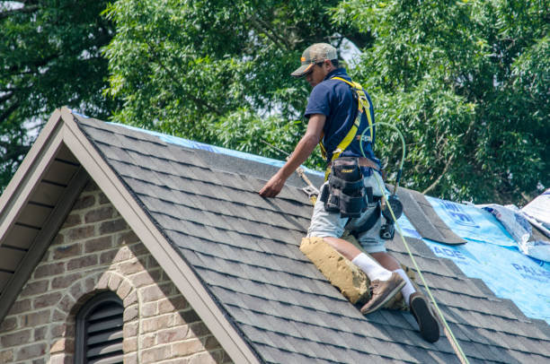 Roof Gutter Cleaning in Rainbow, CA